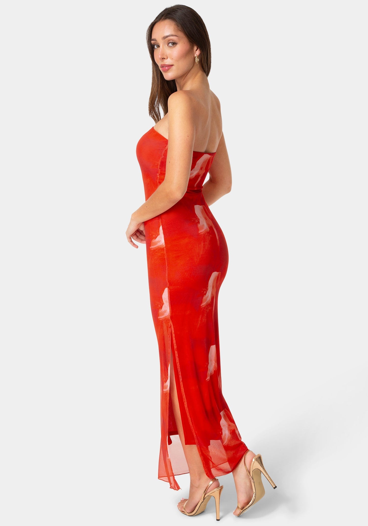 Printed Mesh Strapless Maxi Dress