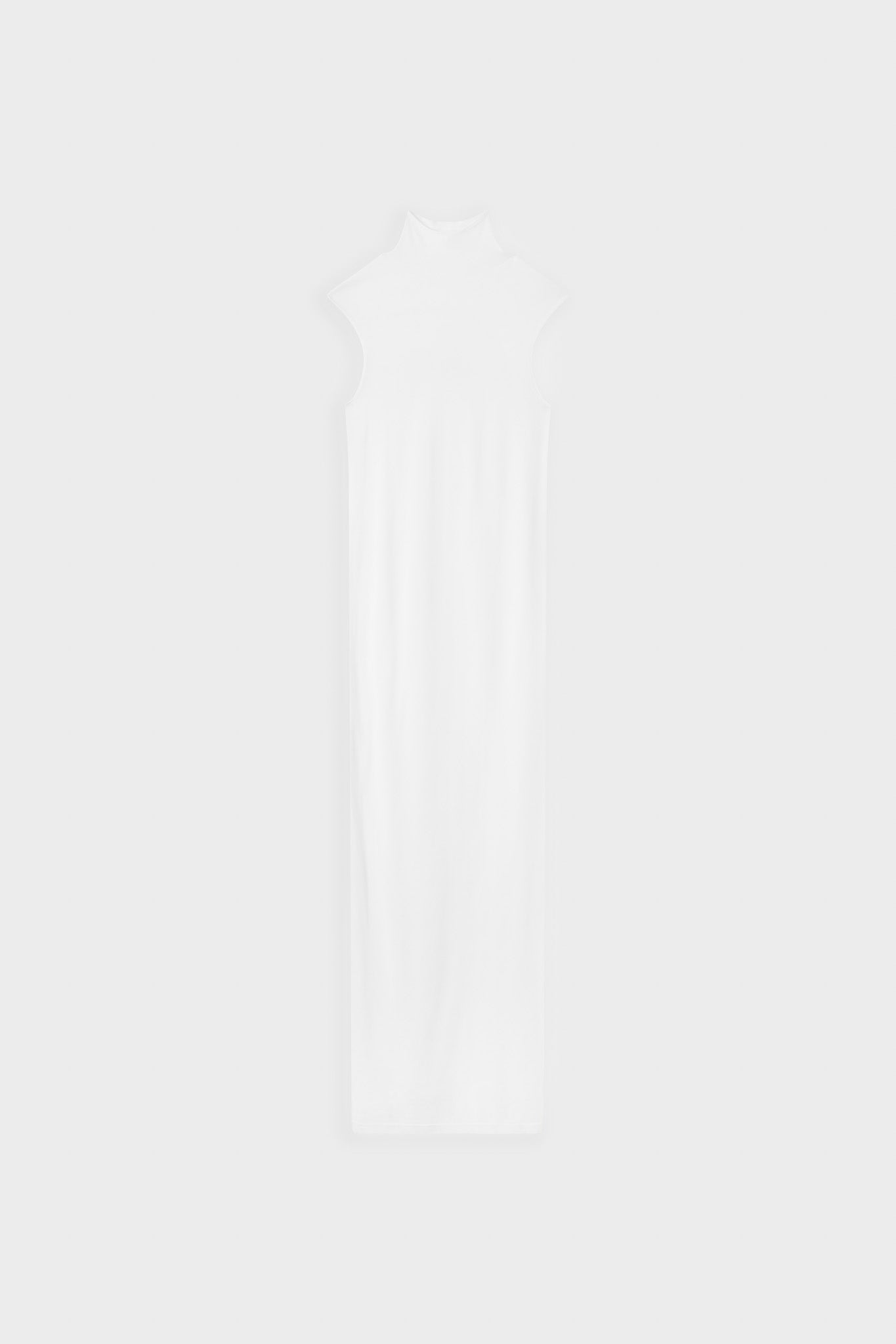 Sheer High Neck Maxi Dress