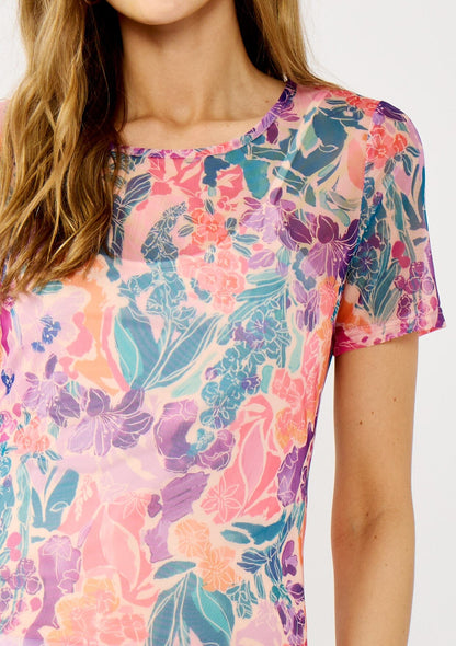 Wander On Mesh Top