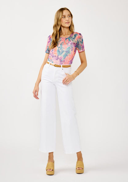 Wander On Mesh Top