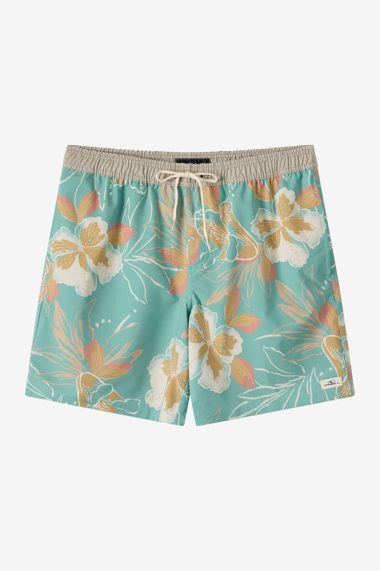 Hermosa Elastic Waist Lined 17" Swim Trunks
