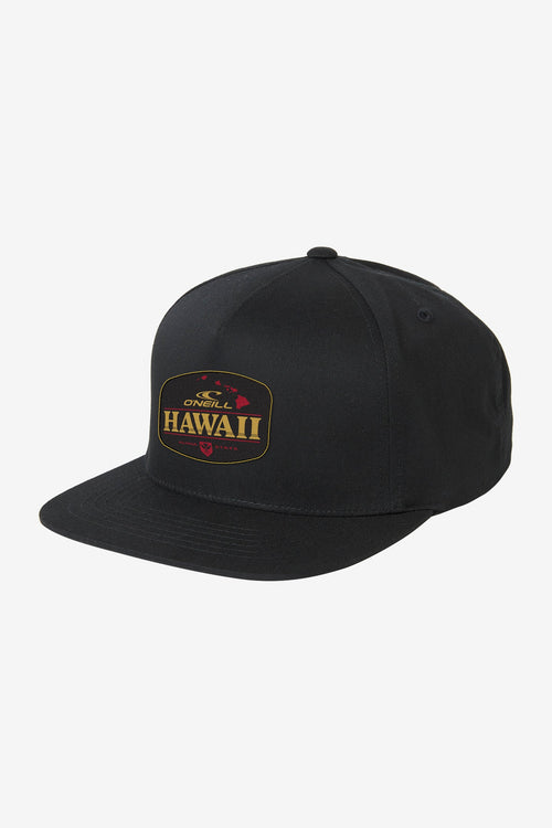 Hawaii Snapback Hat