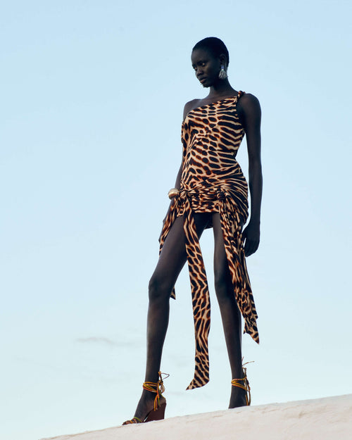 Bruna Dress