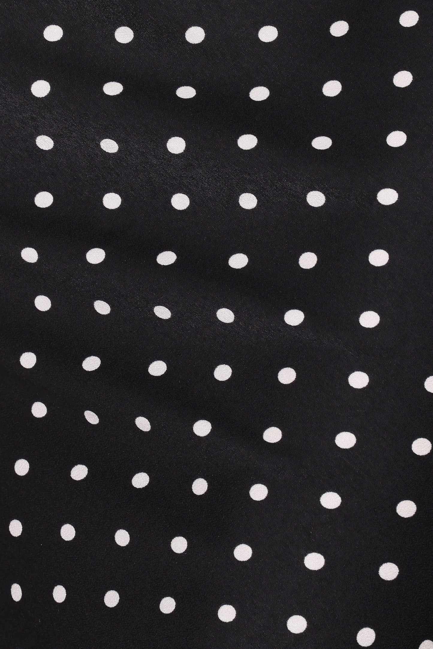 Ailbhe Lace Skirt - Black Polka Dot
