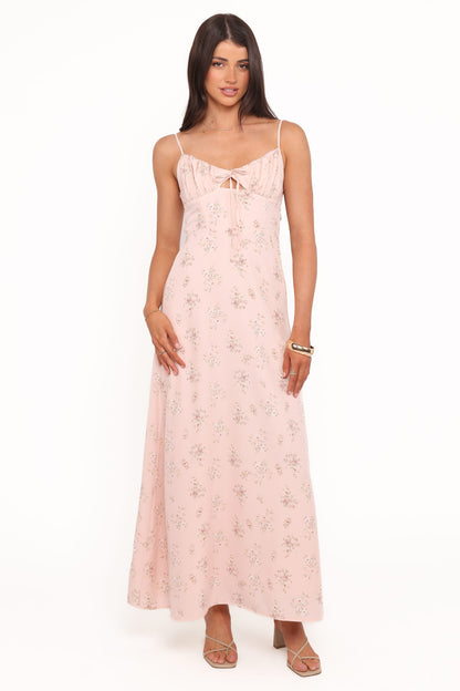 Alouette Maxi Dress - Pink Floral